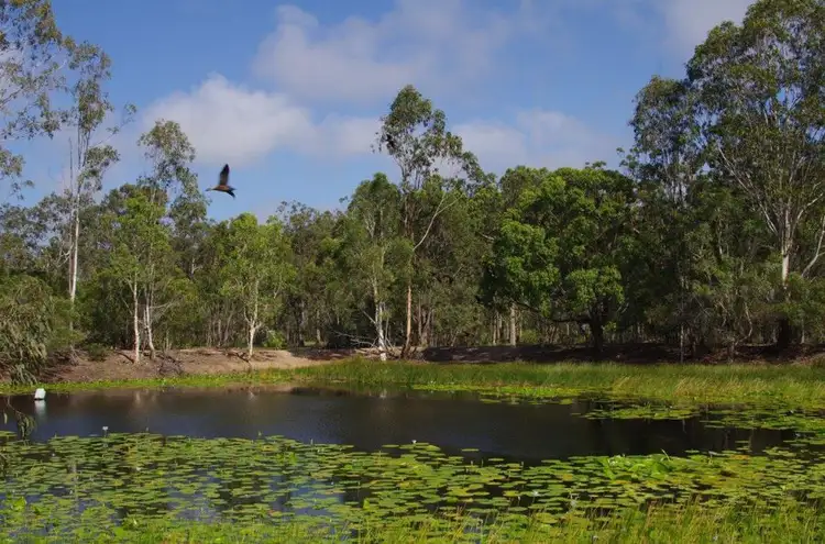 Second view of Homely rural property listing, 292 Duck Creek Road, Winfield QLD 4670