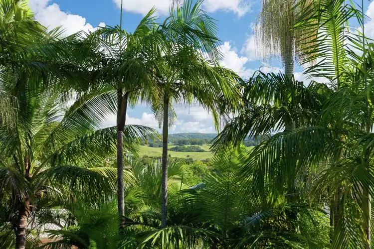 Second view of Homely house listing, 5 Canmaroo Avenue, Nambour QLD 4560