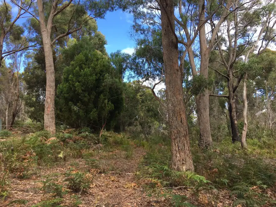 Main view of Homely land listing, 17 Hawker Street, Murdunna TAS 7178