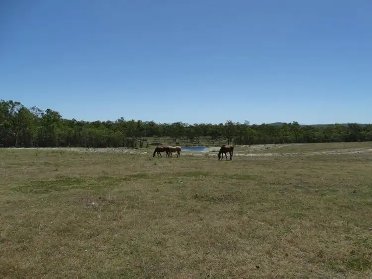 Fifth view of Homely rural property listing, 156 Moolyung Road, Waterloo QLD 4673