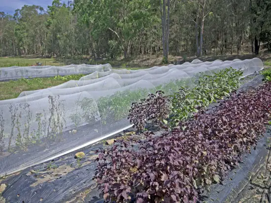 Third view of Homely rural property listing, 5439 George Downes Drive, Bucketty NSW 2250