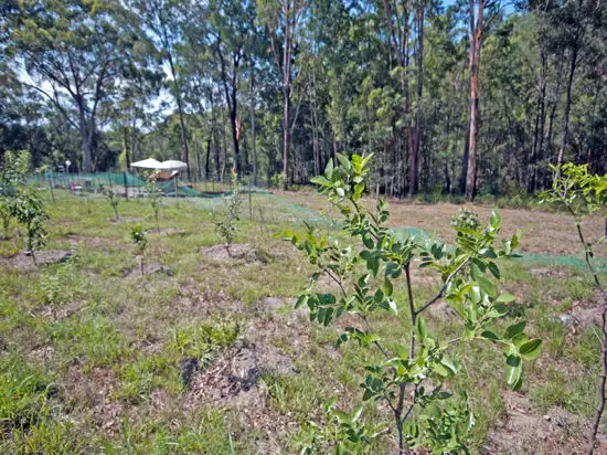 Fourth view of Homely rural property listing, 5439 George Downes Drive, Bucketty NSW 2250