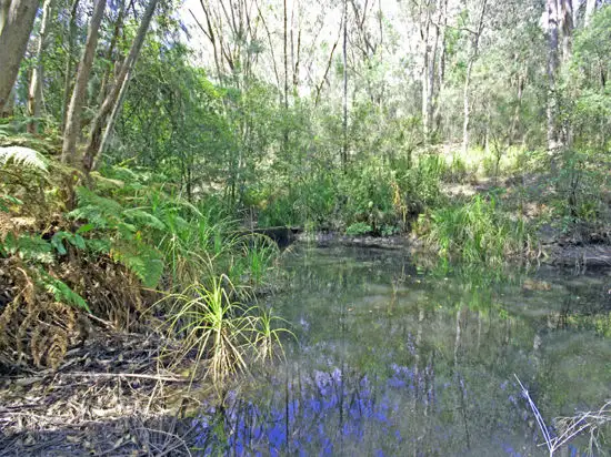 Fifth view of Homely rural property listing, 5439 George Downes Drive, Bucketty NSW 2250