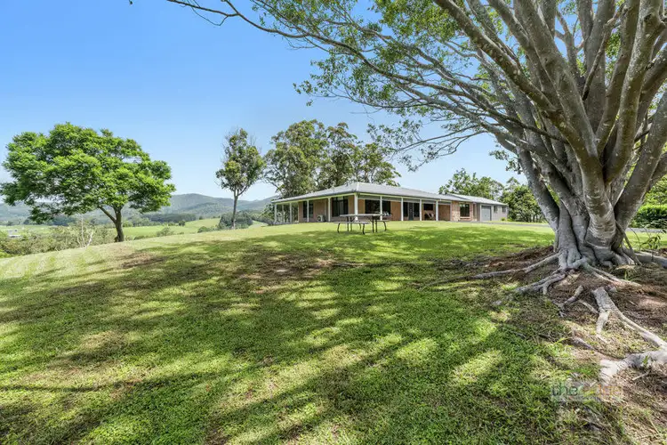 Second view of Homely rural property listing, 157 North Island Loop Road, Upper Orara NSW 2450