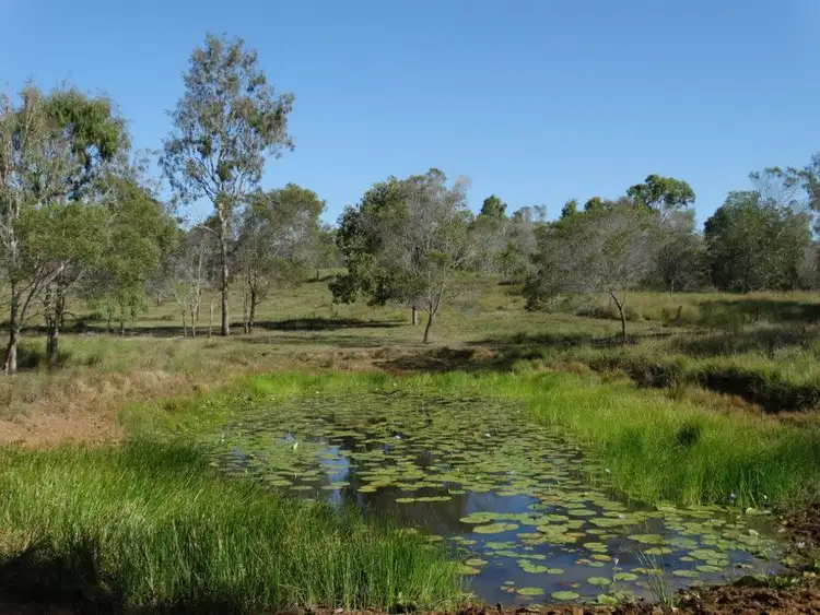 Fifth view of Homely rural property listing, 491 Ferry Road, Rosedale QLD 4674