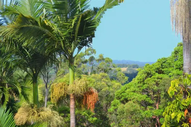 Fifth view of Homely house listing, 31 Kelks Hill Road, Nambour QLD 4560