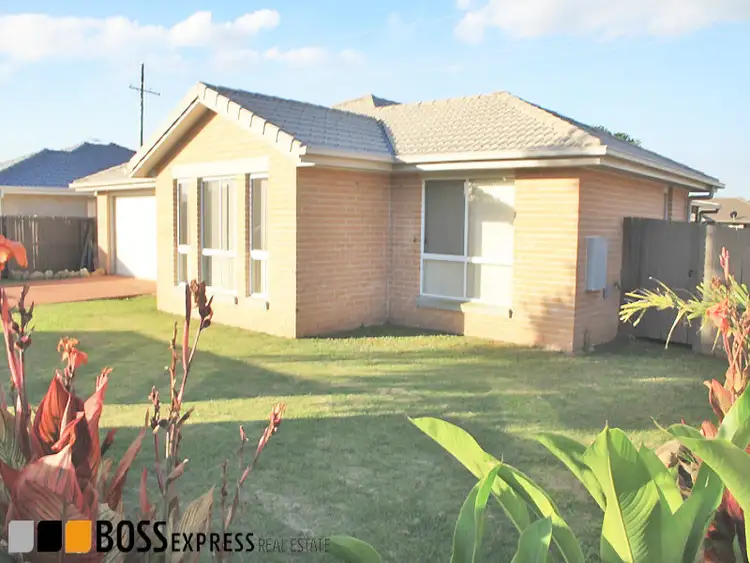 Main view of Homely house listing, 19 Paddington St, Bellmere QLD 4510