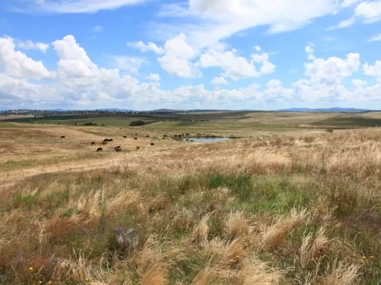 Second view of Homely rural property listing, 300 Dog Trap Road, Yass NSW 2582