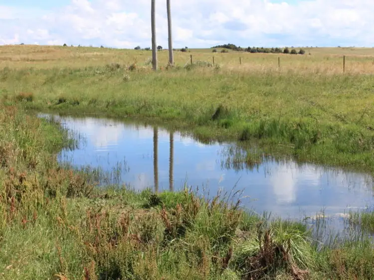 Fifth view of Homely rural property listing, 300 Dog Trap Road, Yass NSW 2582