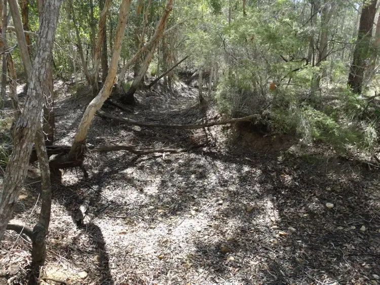 Fourth view of Homely rural property listing, Lot 4 Lower Waterloo Road, Yandaran QLD 4673