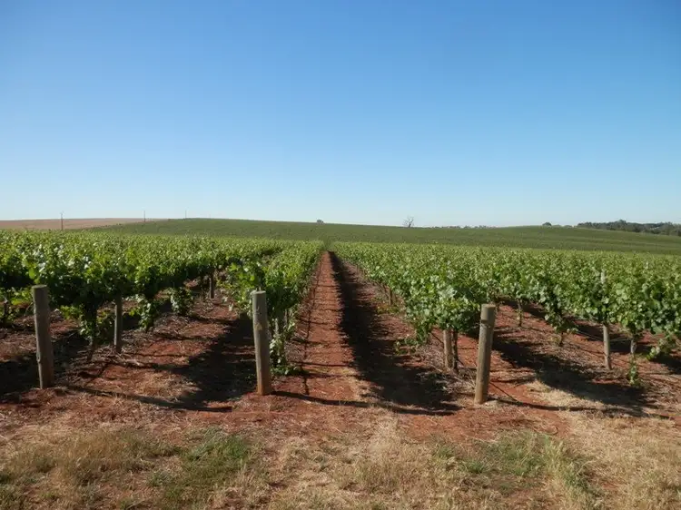 Lot 302 Merildin Road, Mintaro SA 5415