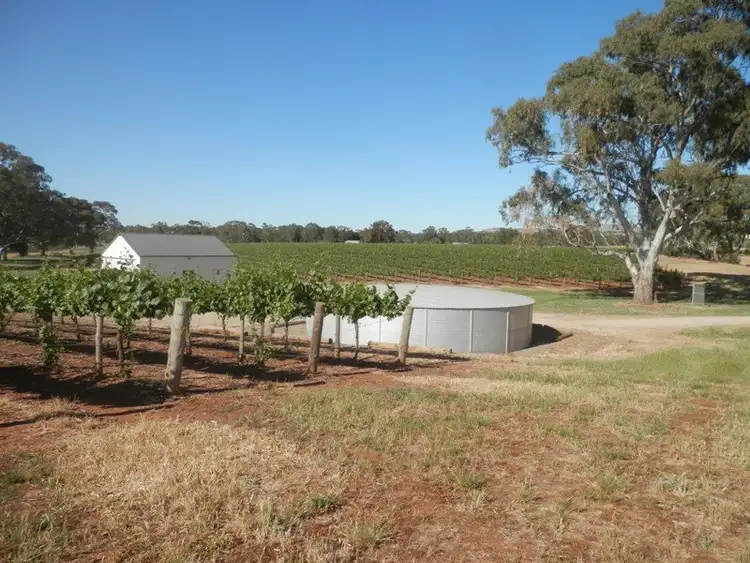 Sixth view of Homely rural property listing, Lot 302 Merildin Road, Mintaro SA 5415