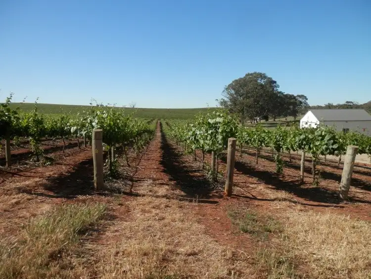 Seventh view of Homely rural property listing, Lot 302 Merildin Road, Mintaro SA 5415