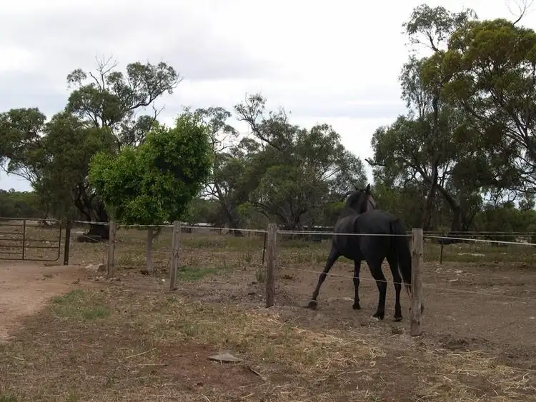 Third view of Homely house listing, Lot 4 Twelvtrees Road, Wauraltee SA 5573