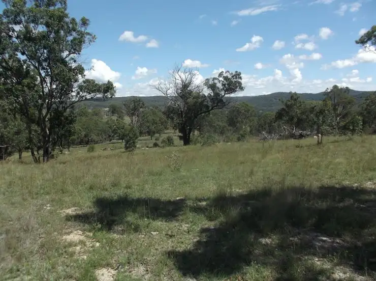 Main view of Homely rural property listing, 204 Wylie Creek Road, Wylie Creek NSW 2372