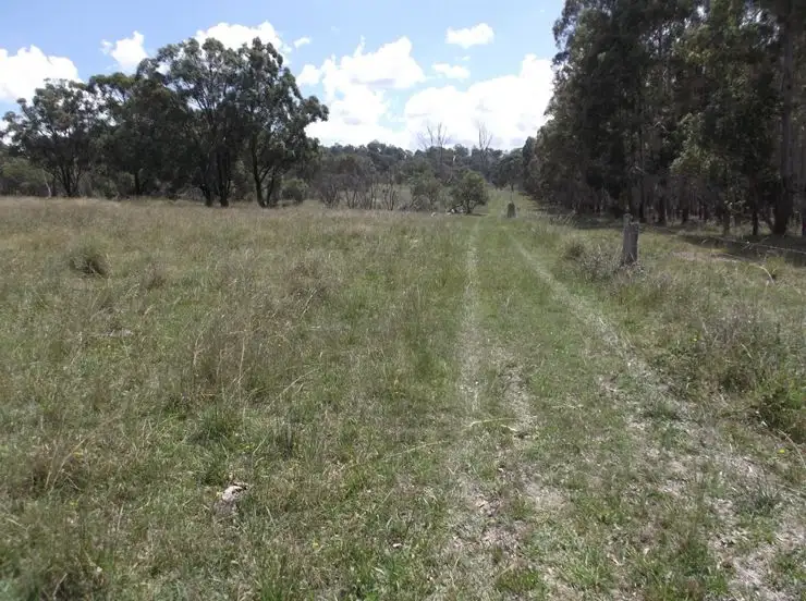 Second view of Homely rural property listing, 204 Wylie Creek Road, Wylie Creek NSW 2372