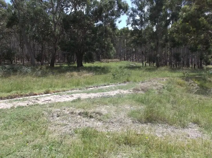 Third view of Homely rural property listing, 204 Wylie Creek Road, Wylie Creek NSW 2372