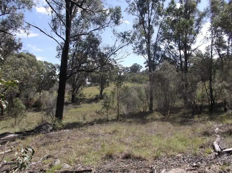 Sixth view of Homely rural property listing, 204 Wylie Creek Road, Wylie Creek NSW 2372