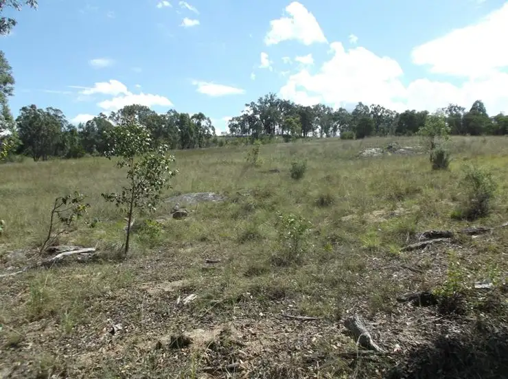 Seventh view of Homely rural property listing, 204 Wylie Creek Road, Wylie Creek NSW 2372