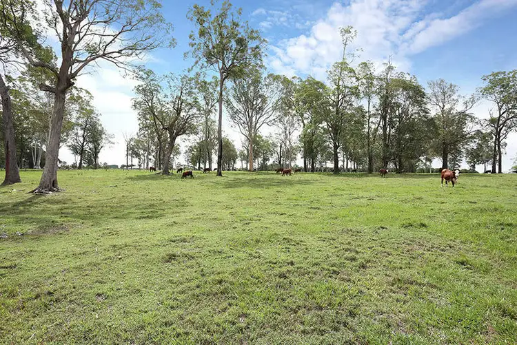 Seventh view of Homely rural property listing, 253 Donnybrook Rd, Donnybrook QLD 4510