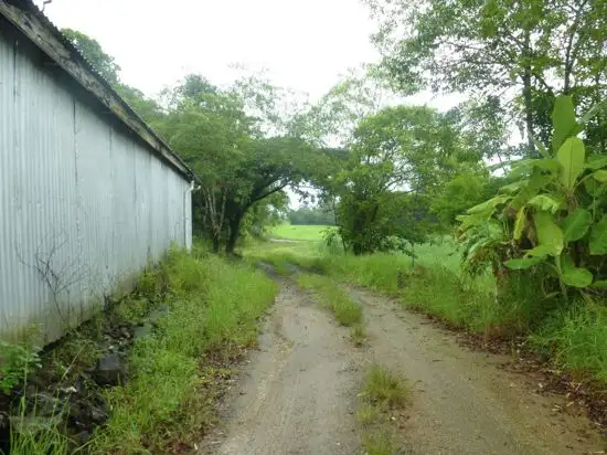 Fifth view of Homely rural property listing, Address available on request