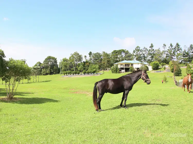 Sixth view of Homely rural property listing, 173 Orara Way, Coramba NSW 2450
