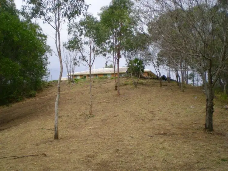 Second view of Homely rural property listing, 159 Landsborough - Maleny Road, Landsborough QLD 4550