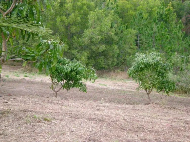 Third view of Homely rural property listing, 159 Landsborough - Maleny Road, Landsborough QLD 4550