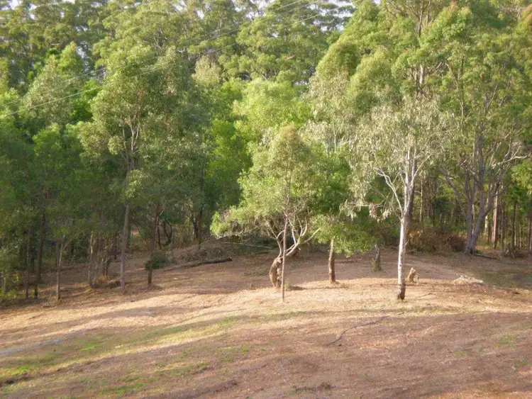 Fourth view of Homely rural property listing, 159 Landsborough - Maleny Road, Landsborough QLD 4550