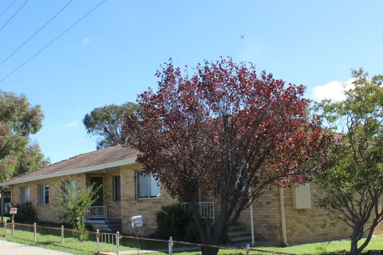 Main view of Homely unit listing, 29 Karloo Street, Tamworth NSW 2340