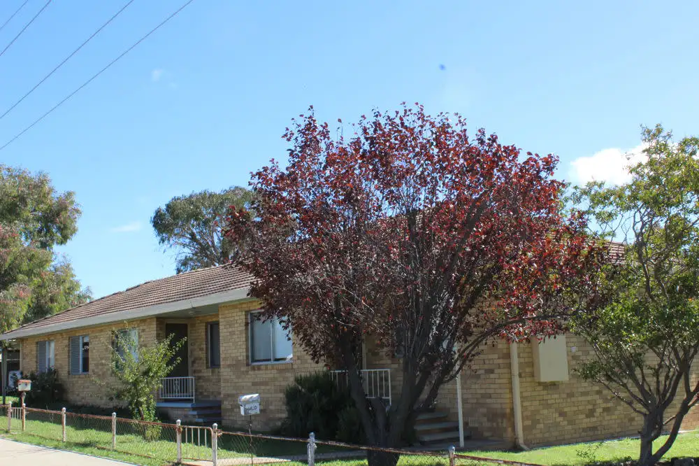 Main view of Homely unit listing, 29 Karloo Street, Tamworth NSW 2340
