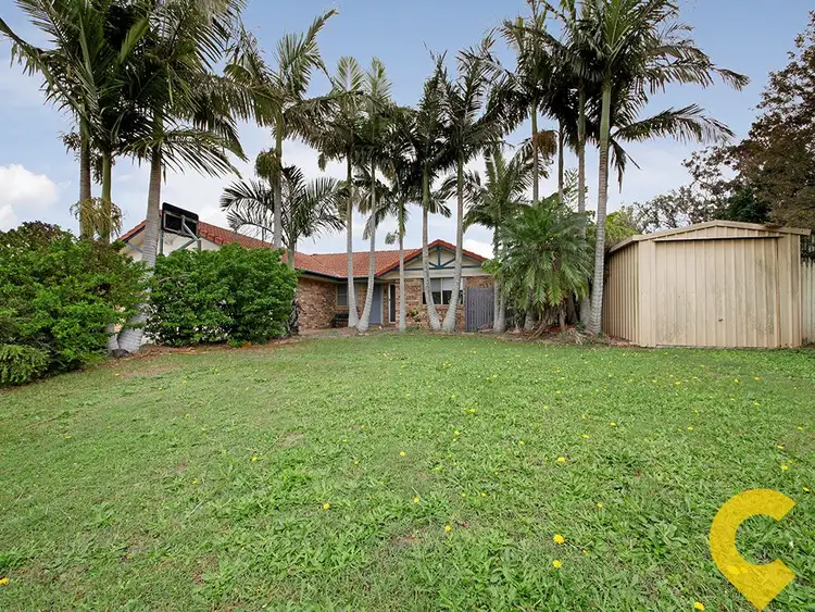 Main view of Homely house listing, z16 Magna Place, Bracken Ridge QLD 4017