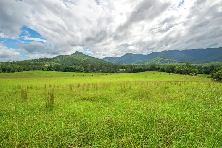 169 Gordonville Road,Gleniffer, Bellingen NSW 2454