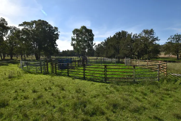 Seventh view of Homely rural property listing, 463 Middle Creek Road, Merriwa NSW 2329