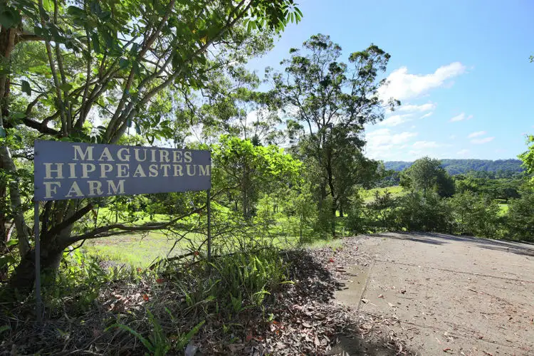 409 Kiel Mountain Road, Diddillibah QLD 4559