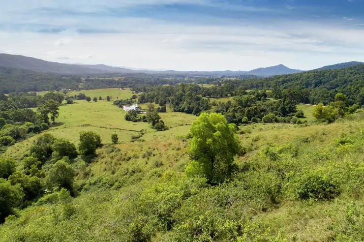 Third view of Homely rural property listing, 525 Newee Creek Road, Newee Creek NSW 2447