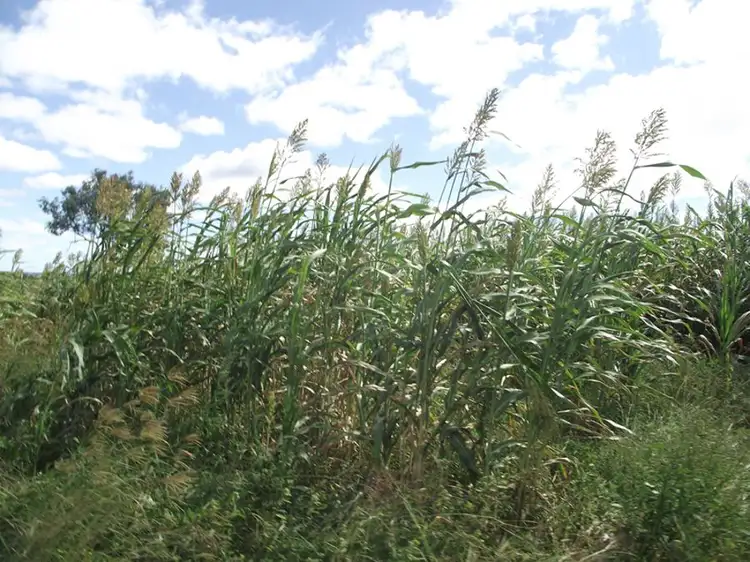 Seventh view of Homely land listing, Silver Perch Road, Barambah QLD 4601