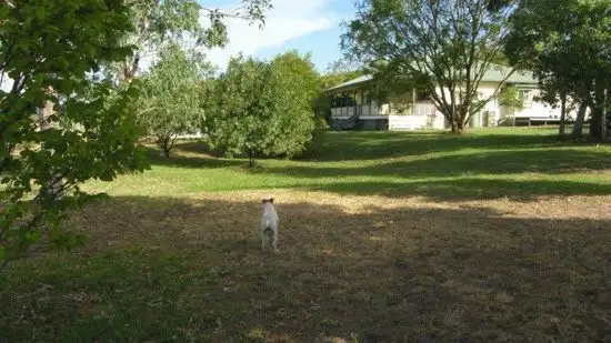 Second view of Homely rural property listing, 150 Treloar Road, Tambar Springs NSW 2381
