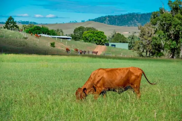 Fourth view of Homely land listing, 110 Atthow Street, Kilcoy QLD 4515