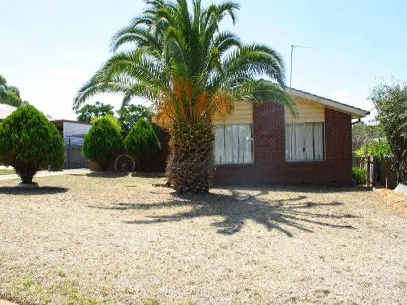 Main view of Homely house listing, 53 Percy  St, Junee NSW 2663