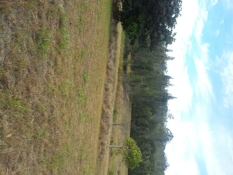 Second view of Homely rural property listing, Lot 30 Gorman Lane, East Kempsey NSW 2440