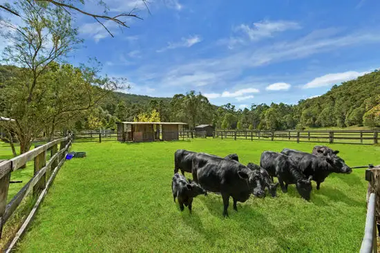 Third view of Homely rural property listing, Lot 12 / 186 Bunning Creek Road, Yarramalong NSW 2259