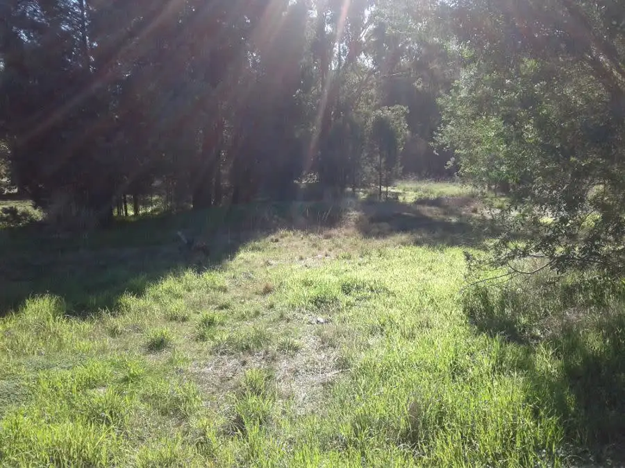 Main view of Homely land listing, 6-8 Thornber St, Oaklands NSW 2646