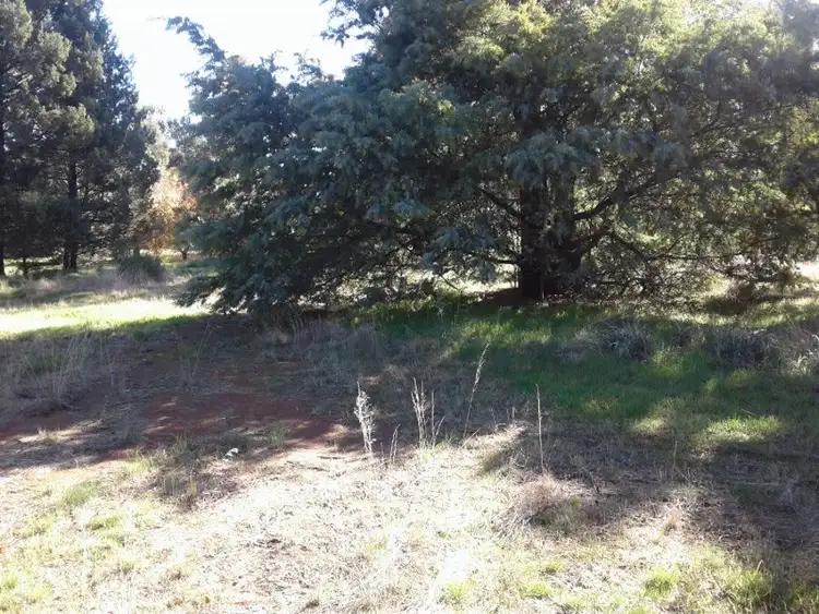 Fourth view of Homely land listing, 6-8 Thornber St, Oaklands NSW 2646