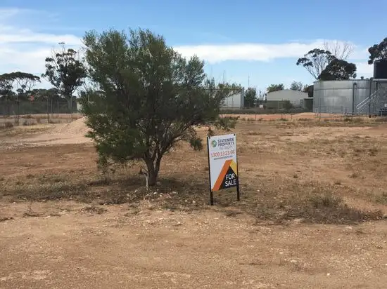 Main view of Homely land listing, 4 Merivale Street, Blanchetown SA 5357