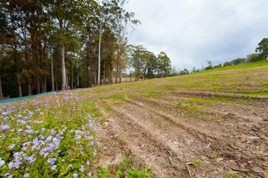 Lot 7 Lakeview Estate, Bonville NSW 2441