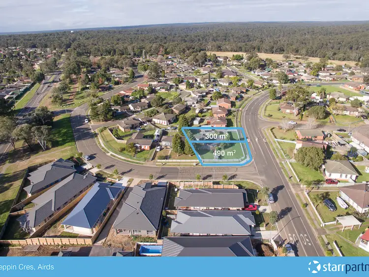 60 Peppin Cres, Airds NSW 2560