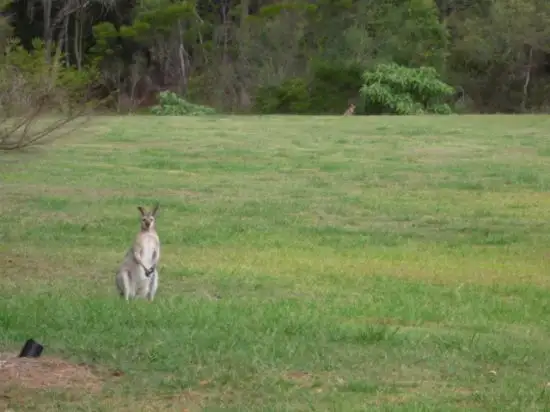 Third view of Homely house listing, 18 John Markwell Pde, Daisy Hill QLD 4127