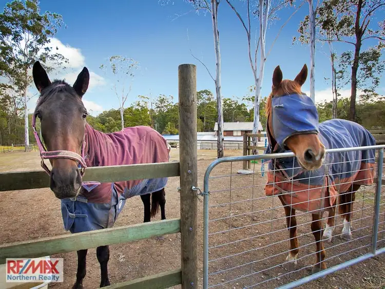 Third view of Homely house listing, 3 Starling Street, Warner QLD 4500