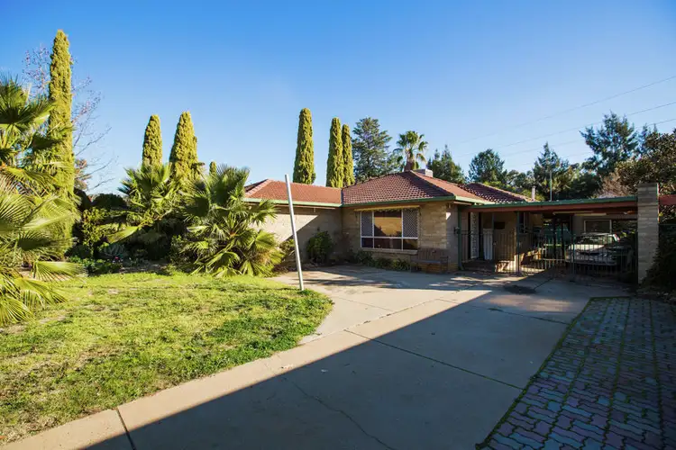 48 Adjin Street, Mount Austin NSW 2650